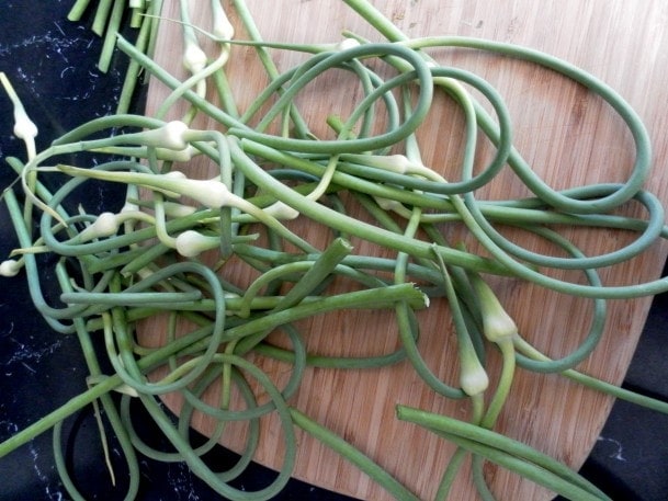 garlic scapes