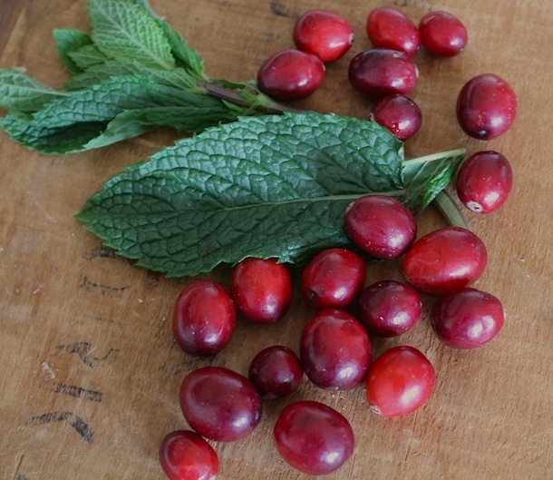 Cranberry Orange Salsa | heartbeet kitchen