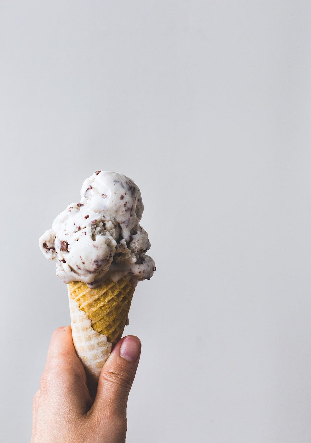 Vegan Chocolate Chip Coconut Milk Ice Cream {with how-to video!}