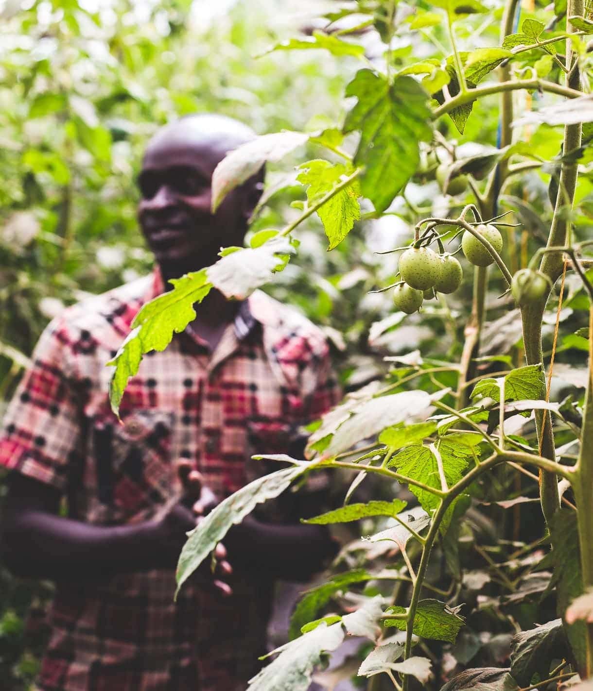 Nakivale, Uganda, Women's empowerment gardening program
