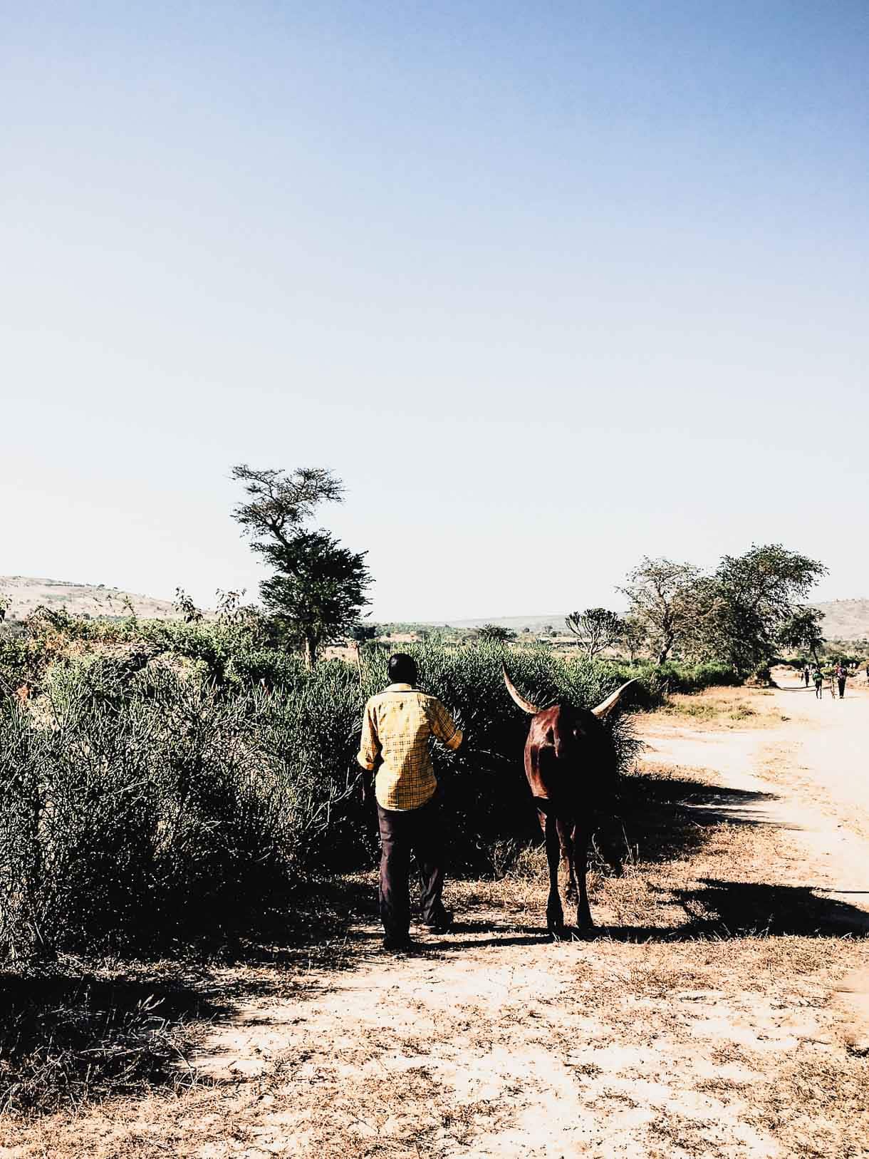 Nakivale - World Refugee Day