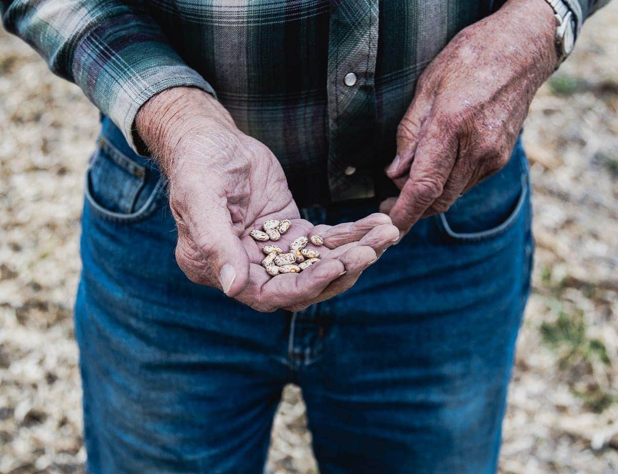 Bean Farmers // western Nebraska // dry beans