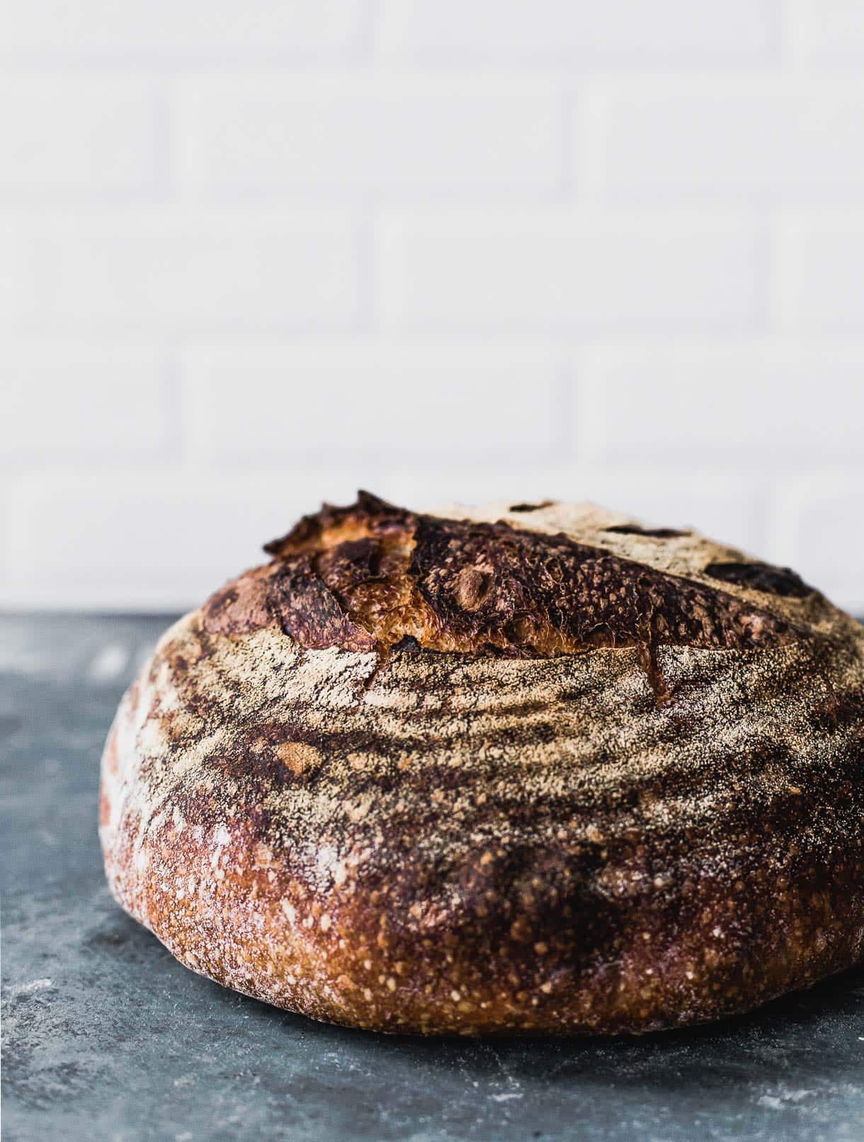 Top 5 Successful Sourdough Starter Tips Sourdough Bread - 10 Things To Know Before Baking Your First Loaf