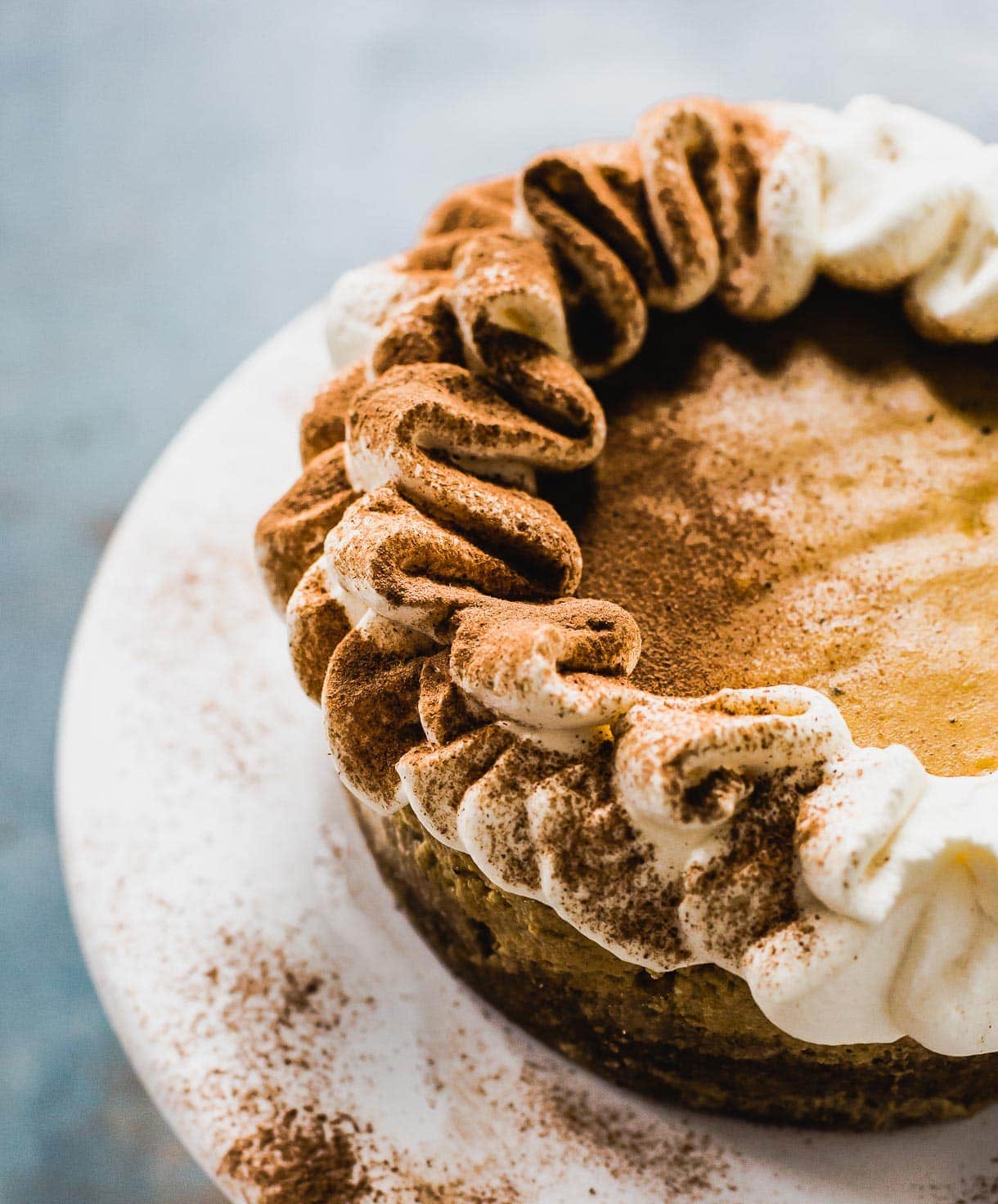 Pumpkin Cheesecake with Whipped Cream