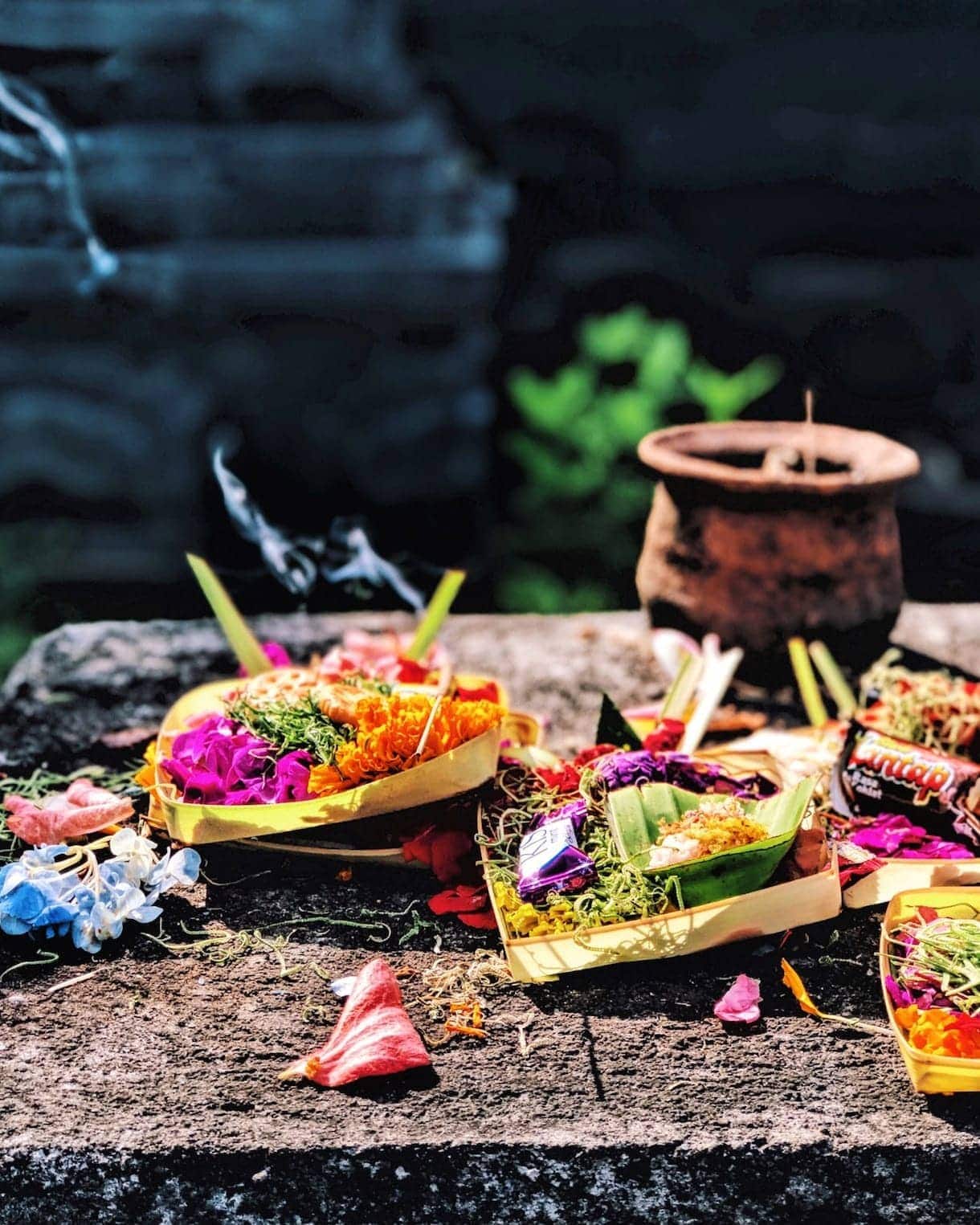 Purple Lotus Flower - Bali