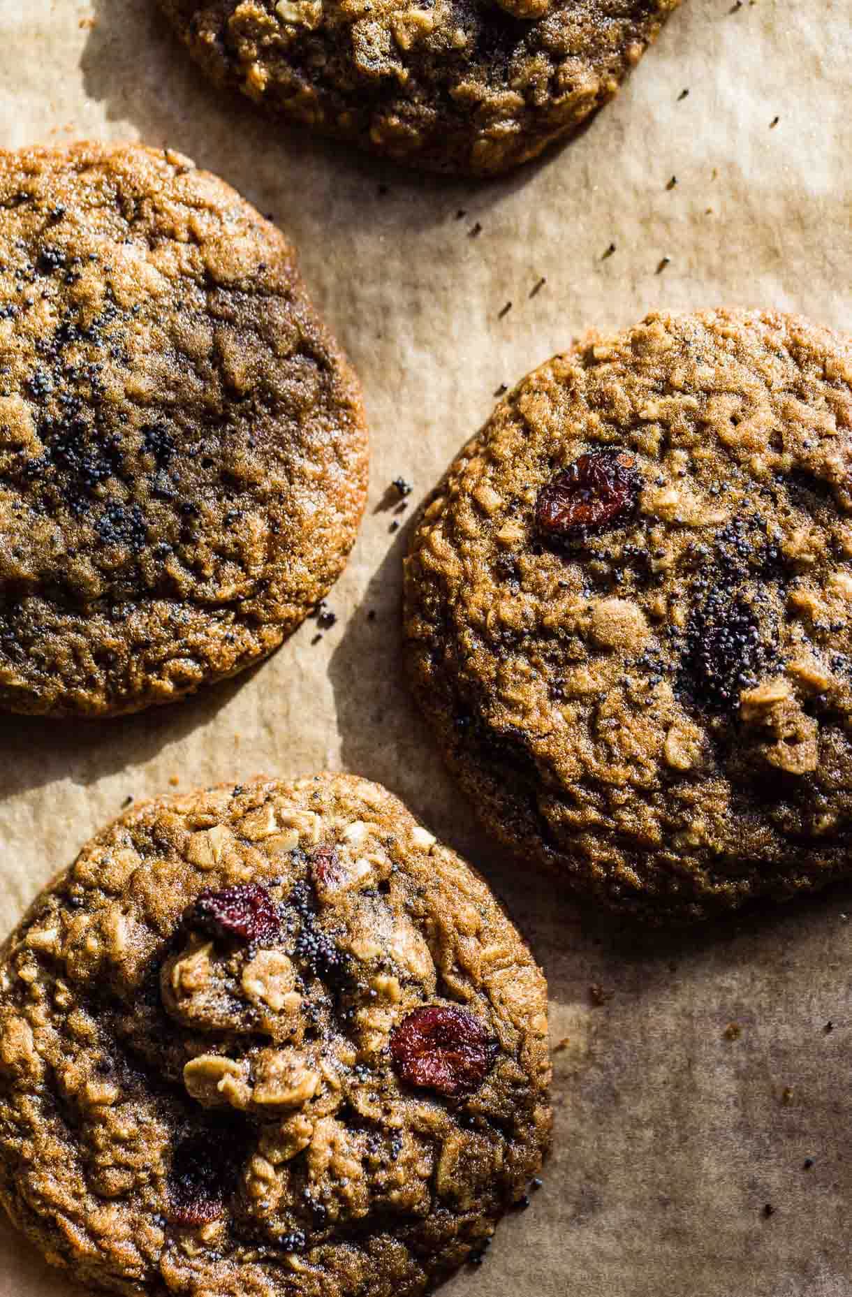 Cranberry Poppy Seed Gluten Free Oatmeal Cookies on baking sheet (recipe)