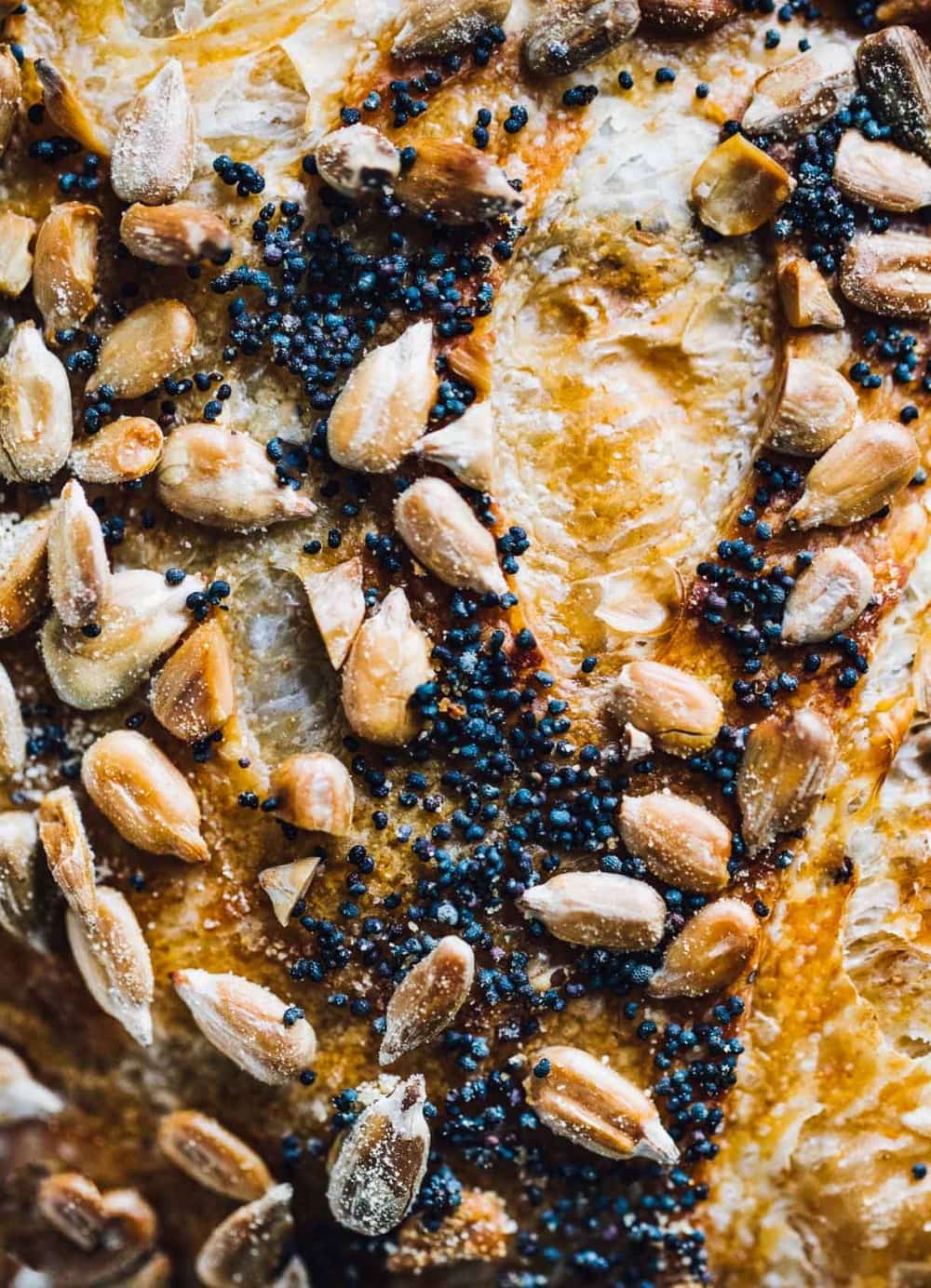 poppy seed and sunflower seeded studded sourdough bread, close up photo