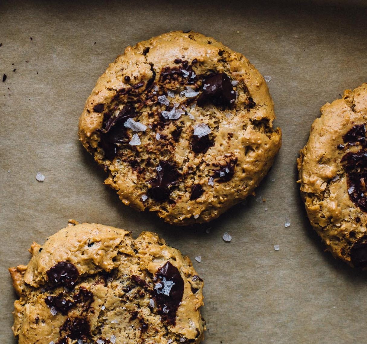 gluten free peanut butter chocolate chip cookies