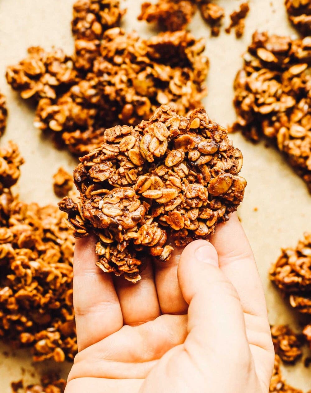 holding large granola cluster in hand