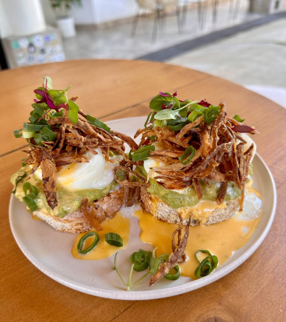 avocado eggs benedict on white plate