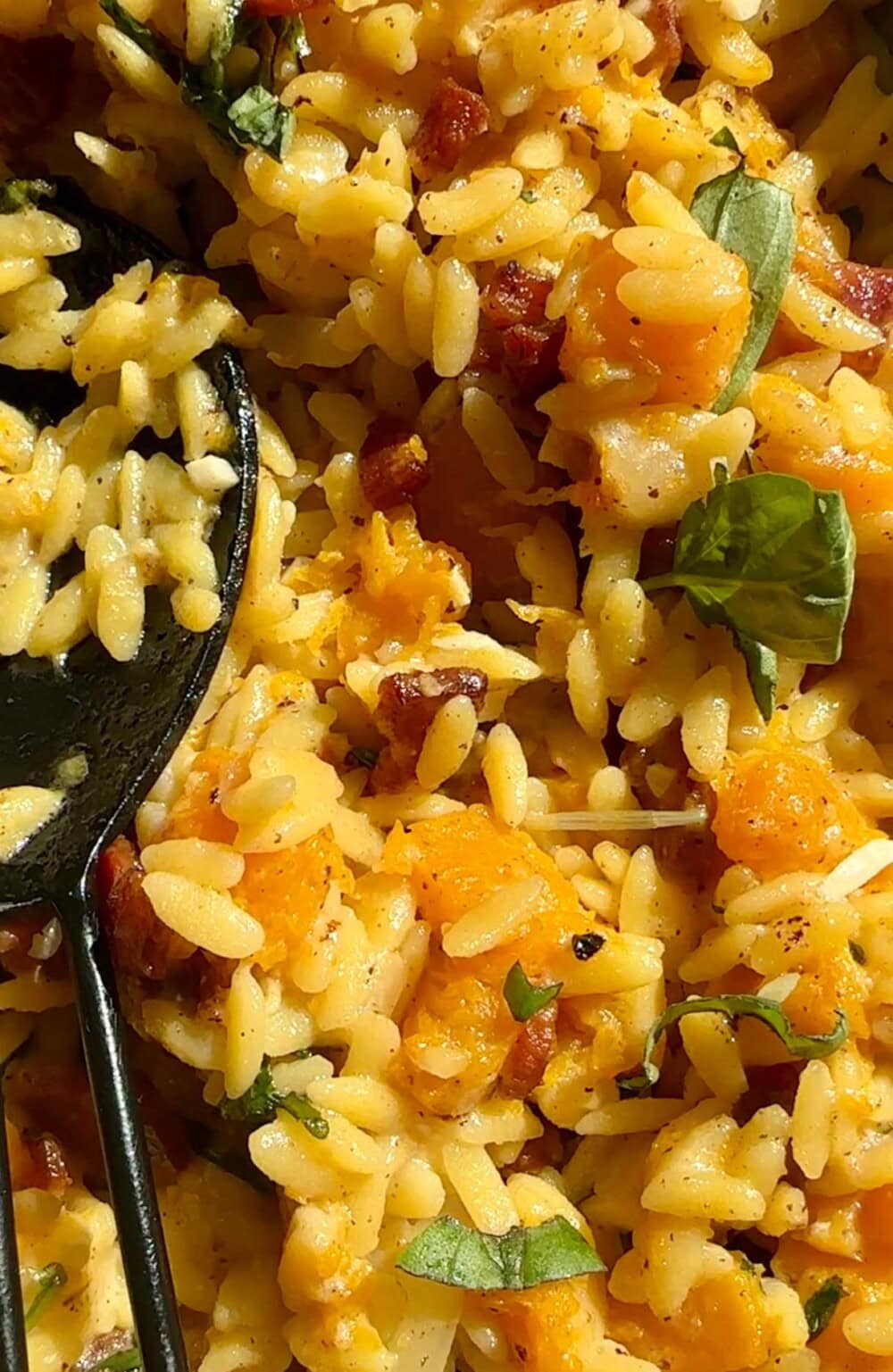 butternut squash orzo in a pan with a spoon