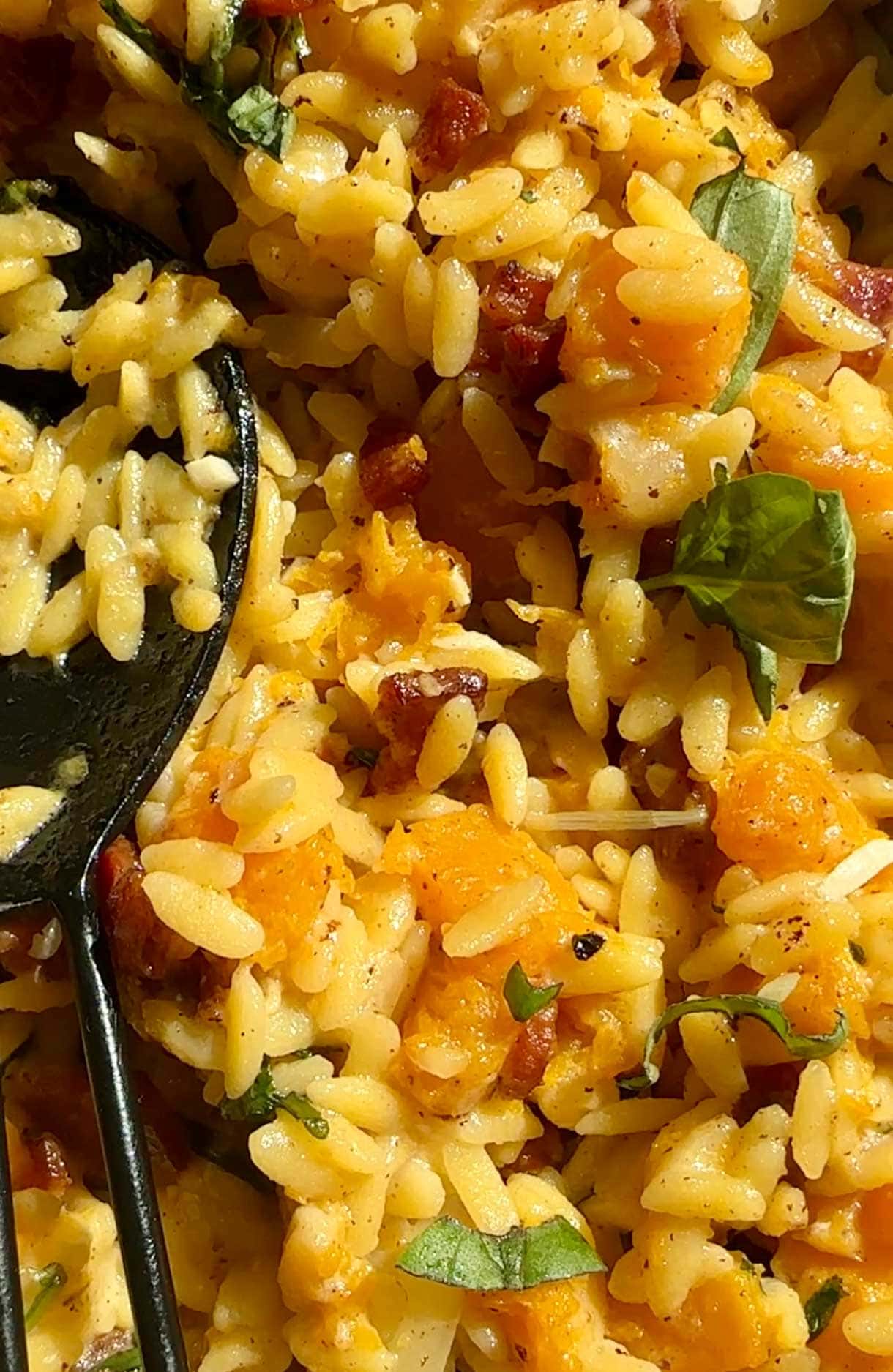 butternut squash orzo in a pan with a spoon